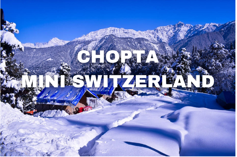Best Places to Visit in Chopta: Exploring the Mini Switzerland of Uttarakhand